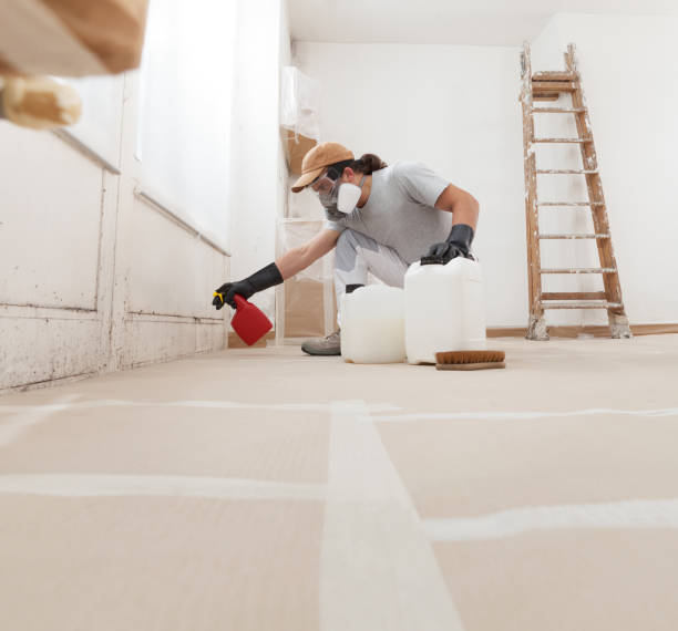 Best Indoor Air Quality Assessment  in Whitehall, MI
